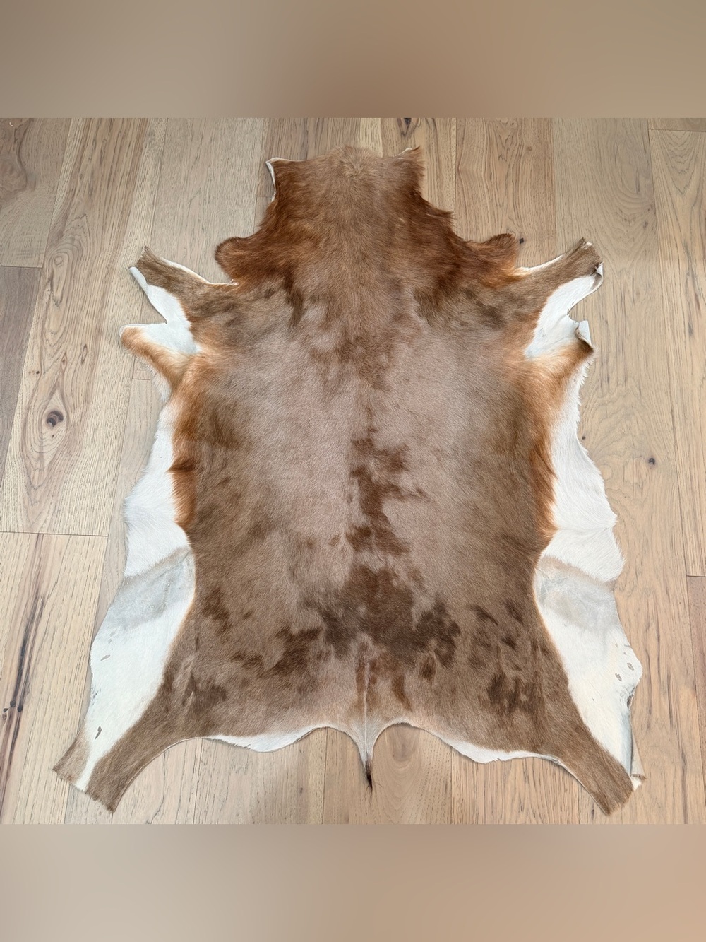 Vintage Genuine Goatskin Hide Rug Mallorca Spain Brown & White Hair-On Hide